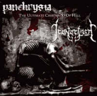 Panchrysia Iconoclasm