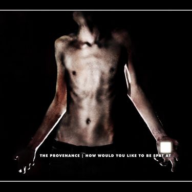 The Provenance - How Would You Like to be Spat at
