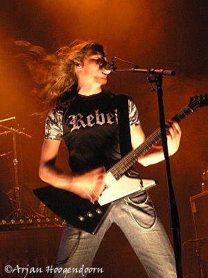 Sander