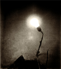 Abyssal - Denouement