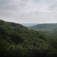 Astolat - Aokigahara