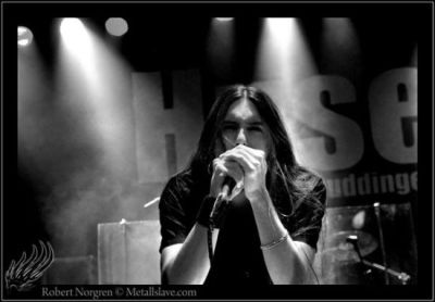 Degradead_livepic_1
