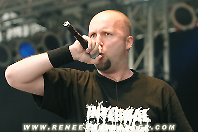 Despise