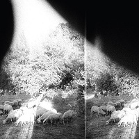 Godspeed You! Black Emperor - 'Asunder, Sweet and Other Distress'