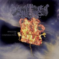 Intwine - Kingdom of Contradiction