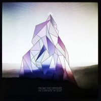 On A Bridge Of Dust - Facing The Opposite