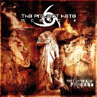 projecthatelustrateprocess