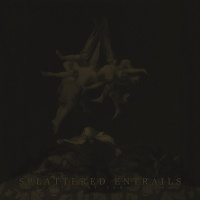  Splattered Entrails - Doctrine of Redemption 