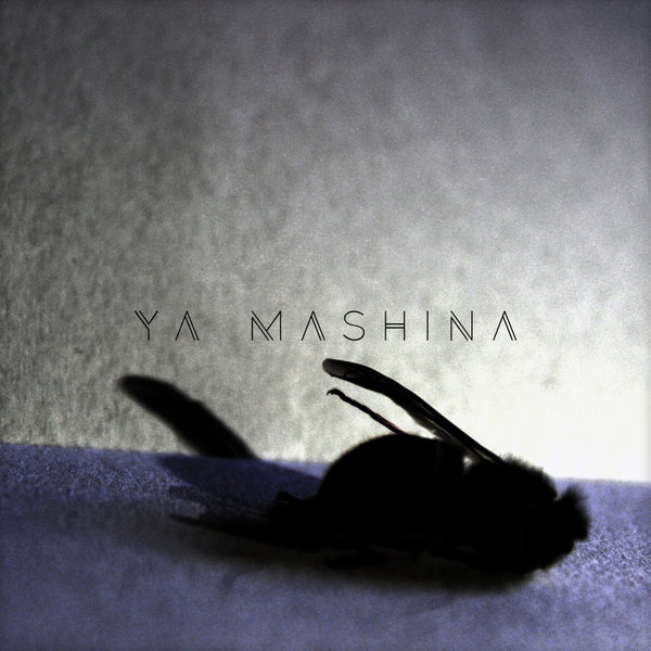 Winterblind – Ya Mashina