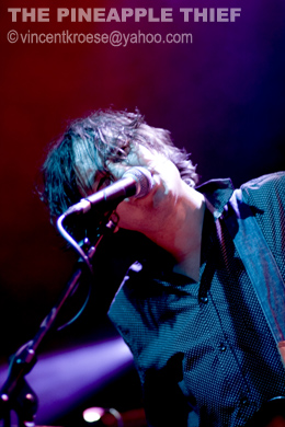 The Pineapple Thief