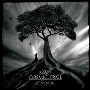 A Cosmic Trail - II: Mistral