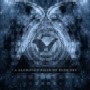 The Atlas Moth - A Glorified Piece of Blue Sky