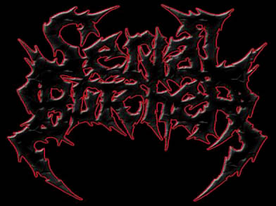 SB bandlogo