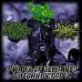 Sexual Harassment Panda / Boggy Bong / Anal Orgasm - 3 Ways Depraved Techno Gore