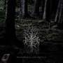 Rosaceae - Transcending into the Cold 