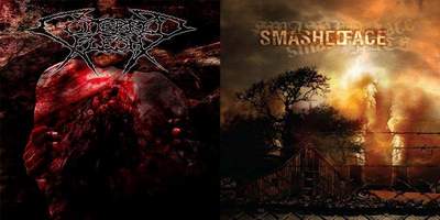 covers
