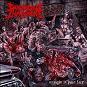 Distorted Impalement - Straight In Your Face 