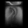 Korgonthurus - Marras 