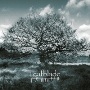 Leafblade - Beyond, beyond