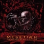 Mesetiah - The Purpose Of Our Existence