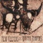 New Keepers of the Water Towers - Chronicles