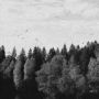October Falls - A Collapse of Faith