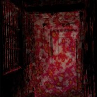 Elimi - Asylum
