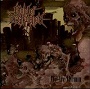 Guild of Destruction - We Are Vermin 