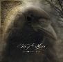 The 11th Hour - Burden of Grief
