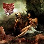 Insidious Torture - Lust and Decay 