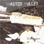 Wasted Bullet - Changes